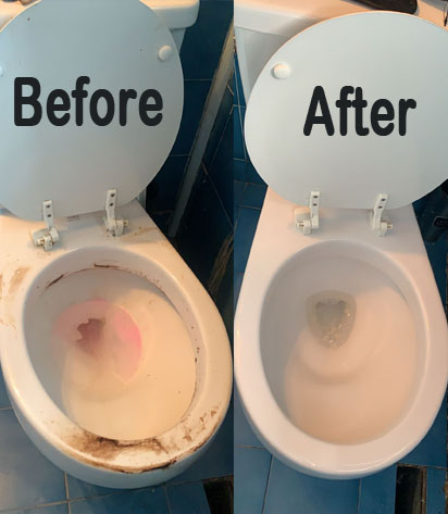 Regular Cleaning IN Waltham